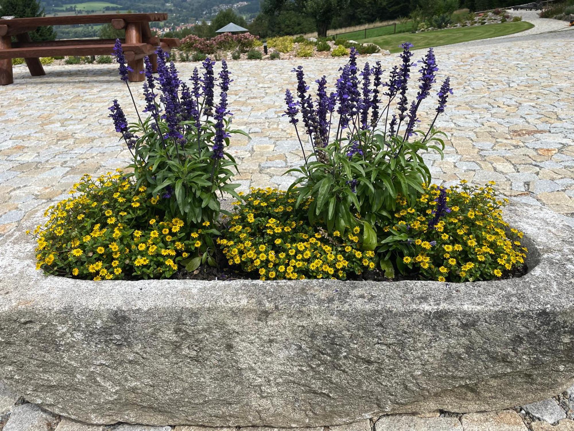 Apartmány HÁJOVNA Lipno Loučovice Exterior foto