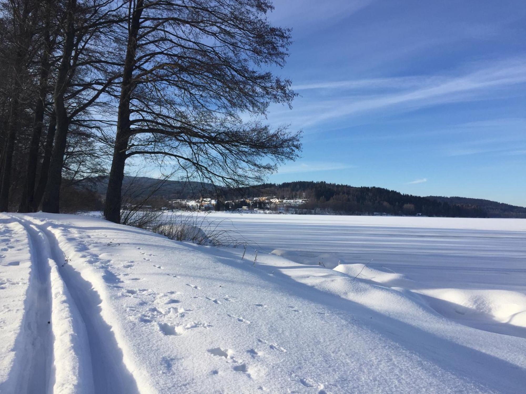 Apartmány HÁJOVNA Lipno Loučovice Exterior foto